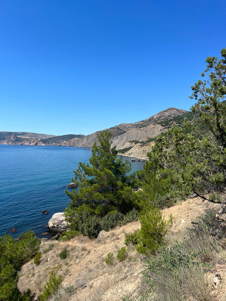 Любить жизнь — это навык. И выбор. Каждый день. poster